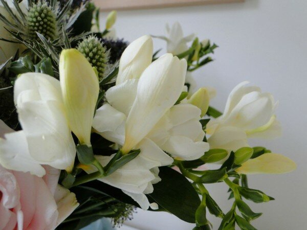 White-Freesia-Appleyard-London-Flowers